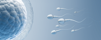 fertility-renewal-spiritual-wellness-challenge-3-day-retreat-image